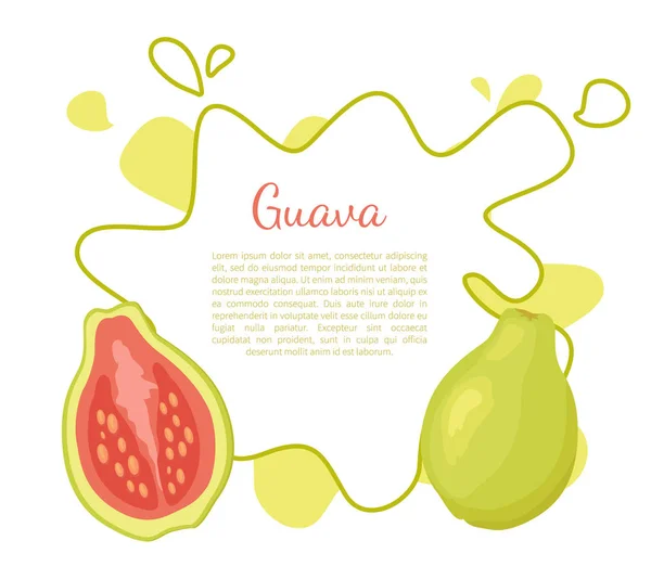 Guava Ananas Guavas Succosa esotica Vettore di frutta — Vettoriale Stock