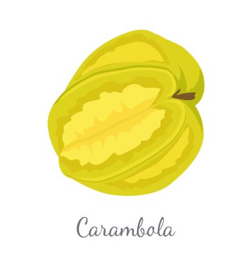 Carambola veya Starfruit egzotik meyve vektör simgesi