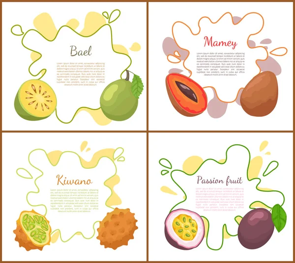 Bael y Mango Carteles Set Vector Ilustración — Archivo Imágenes Vectoriales