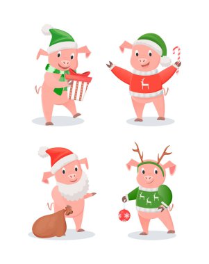 Yeni yıl 2019 domuzcuklar şapkalar ve kazak ayarla