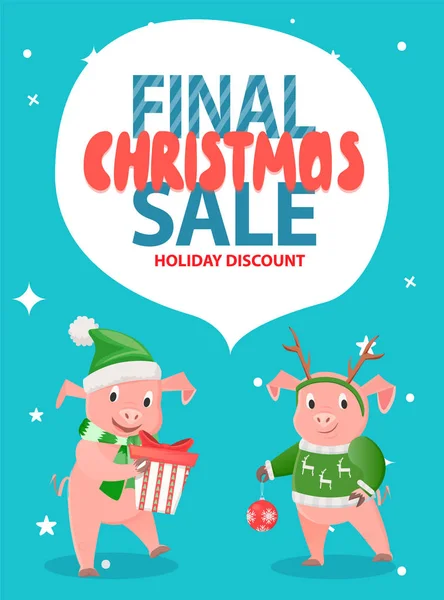 Final Christmas Sale Holiday Discount with Pigs — Stock Vector