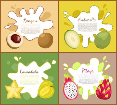 Longan ve Carambola posterler vektör çizim