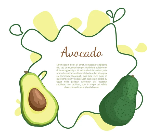 Грушевый вектор экзотических сочных фруктов авокадо — стоковый вектор