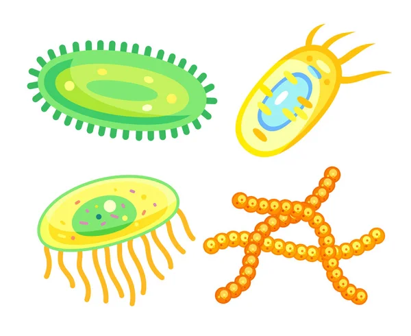バクテリアや細菌の細胞、微生物のベクトルのアイコン — ストックベクタ
