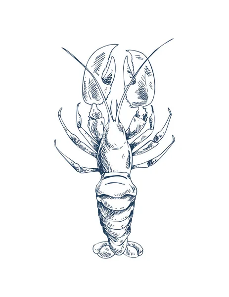 小龙虾常见的特色菜和海鲜素描图标 — 图库矢量图片