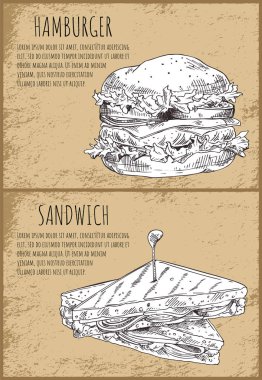 Hamburger ve sandviç vektör çizim ayarla