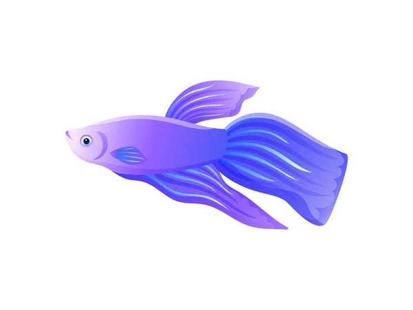 Bright Lilac Betta Fish con bandera de gran aleta — Archivo Imágenes Vectoriales