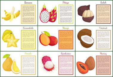 Hindistan cevizi ve muz Carambola posterler vektör ayarla