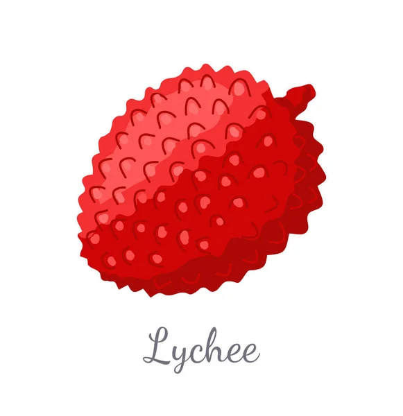 Lychee exótica jugosa fruta Vector Litchi Liechee — Archivo Imágenes Vectoriales
