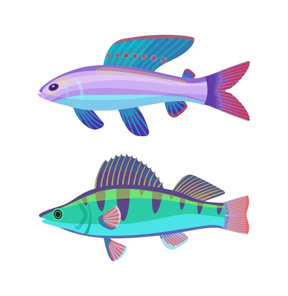 Seltene Aquarium Lippfisch Spezies farbenfrohe Illustration — Stockvektor