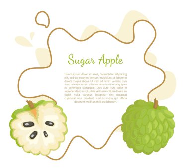 Şeker-elma, Sweetsop muhallebi Apple Poster izole.