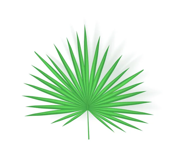 Tropisches Blatt Symbol Nahaufnahme Vektor Illustration — Stockvektor