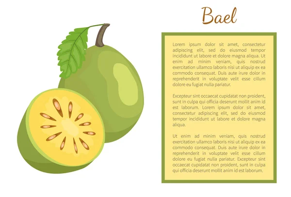 BAEL soczyste owoce egzotyczne wektor ramkę plakatu Aegle — Wektor stockowy
