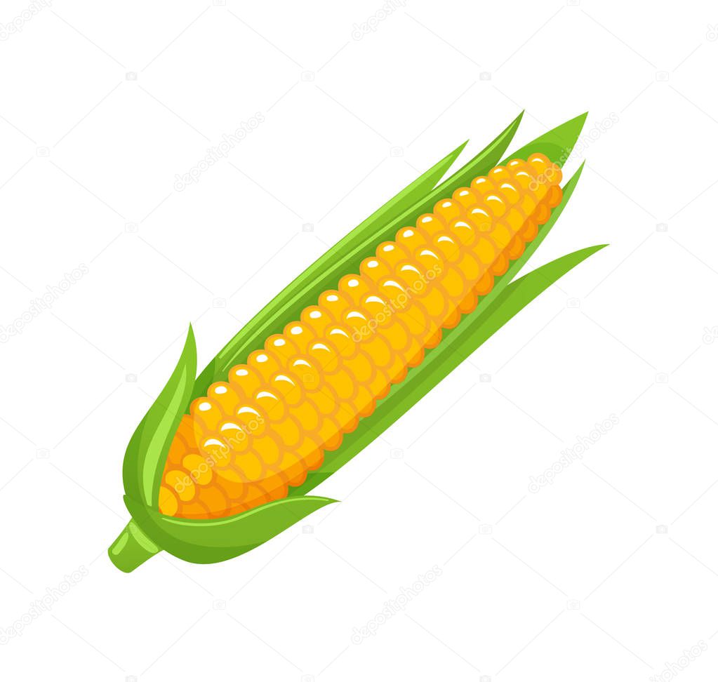 Corn Food Organic Agriculture Meal Icon Vector