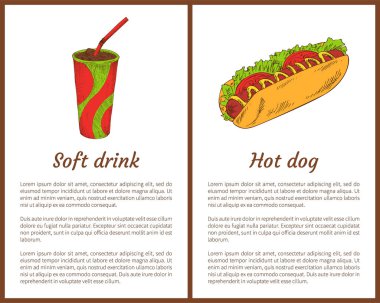 Meşrubat ve sıcak köpek vektör çizim ayarla