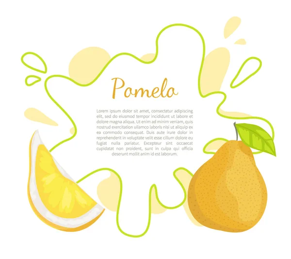 Manifesto alimentare tropicale vettoriale di frutta esotica Pomelo — Vettoriale Stock