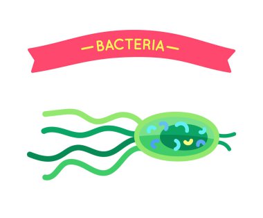Yakınlaştırılmış karikatür mikroorganizma biyoloji içerik için