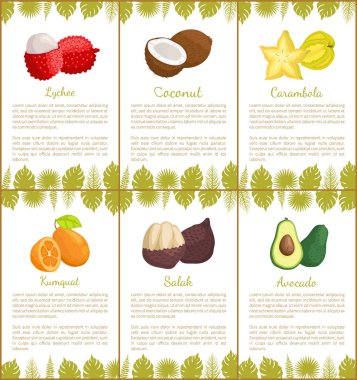 Lychee ve Hindistan cevizi Carambola posterler vektör ayarla