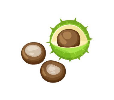 Kestane çekirdek ve kabuğu izole simgeler vektör ayarla