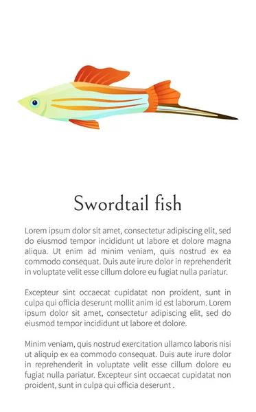 Bunte Schwertschwanzfische isoliert auf weißer Grafik — Stockvektor