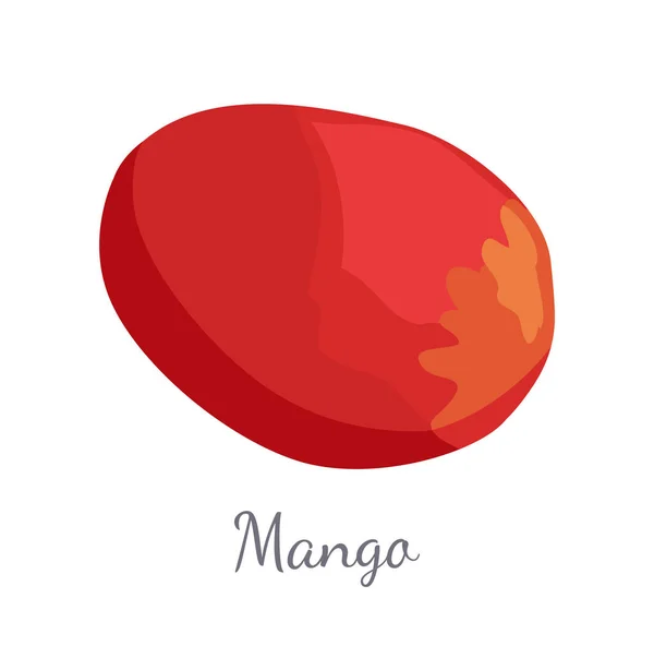 Manga exótica Juicy Stone Vetor de frutas isolado — Vetor de Stock