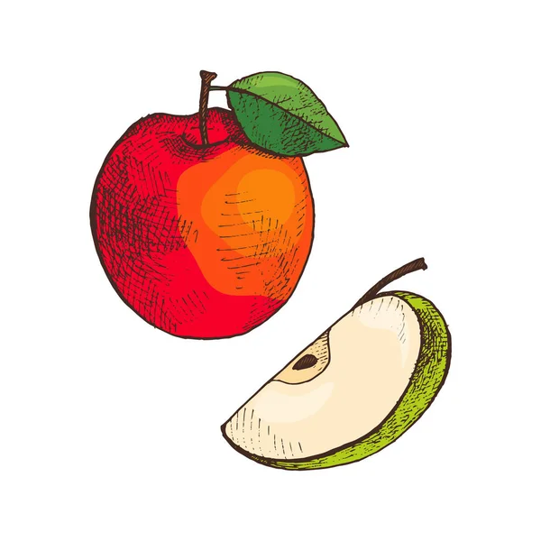 Zralé jablíčko a plátkem vitaminu ovoce ikona Vektor — Stockový vektor