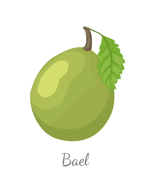 Slijmappel exotische sappig Fruit Vector geïsoleerd pictogram Aegle — Stockvector