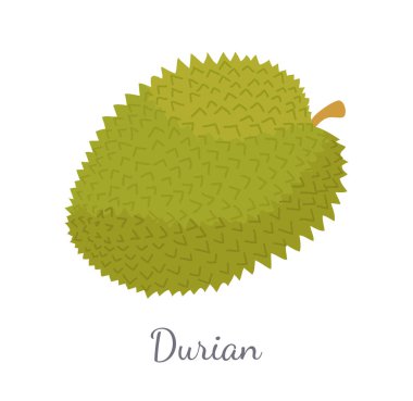 Durian egzotik sulu Tayland Malezya meyve simgesi