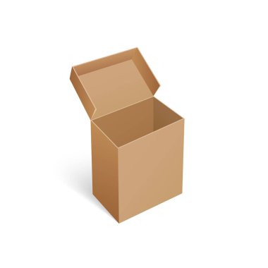 Paket karton kutu konteyner izole simge vektör