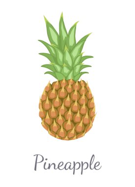 Ananas tropikal bitki yemeklik katı meyve