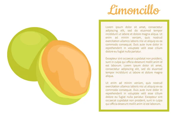 Limoncillo Fruit Whole Cut, испанский лимонный плакат — стоковый вектор