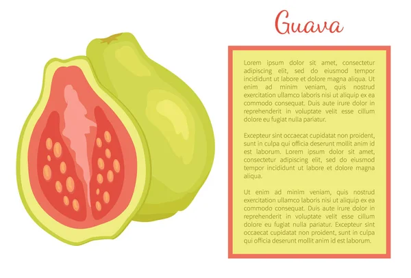 Guava Ananas Guavas Succosa esotica Vettore di frutta — Vettoriale Stock