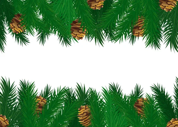 Cônes de pin sur branches d'épinette verte vecteur — Image vectorielle