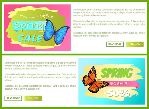 Verkauf Frühlings Rabatt Etiketten Schmetterling Mit Punkten Flügel Mit Ornamenten — Stockvektor