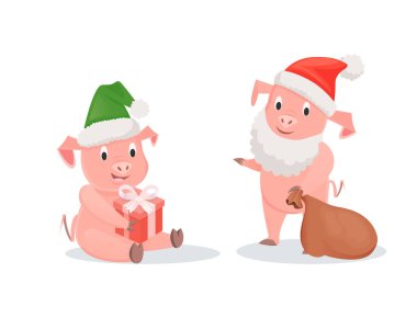 Yeni yıl Noel Baba şapkaları, domuzlarda hediye kutusu ve torba