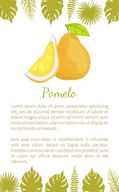 Pomelo egzotik meyve vektör Poster metin örneği