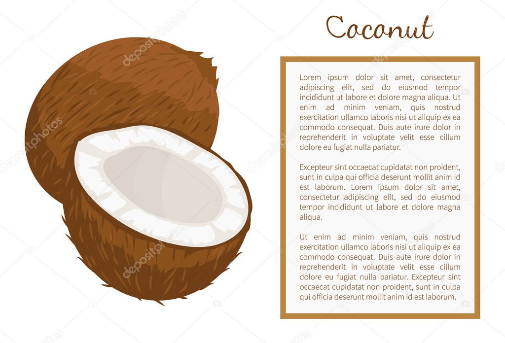 Coconut Whole and Cut Exotic Fruit Vector Poster