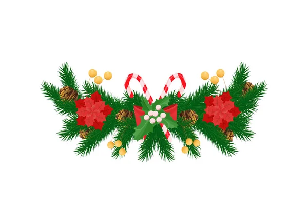 Spruce Branches and White Mistletoe Red Poinsettia — Stock Vector