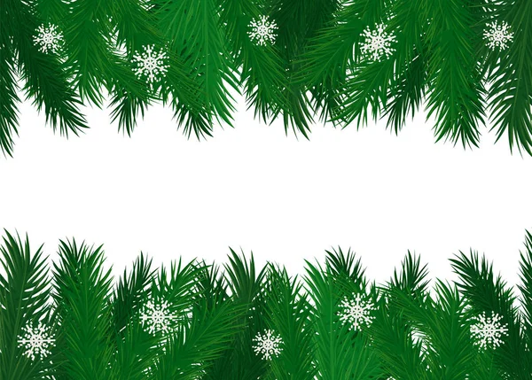 Branches de pins Épinette à feuilles persistantes avec flocon de neige — Image vectorielle