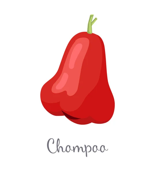 Champoo Exotic šťavnaté ovoce vektor, samostatný. Java apple — Stockový vektor
