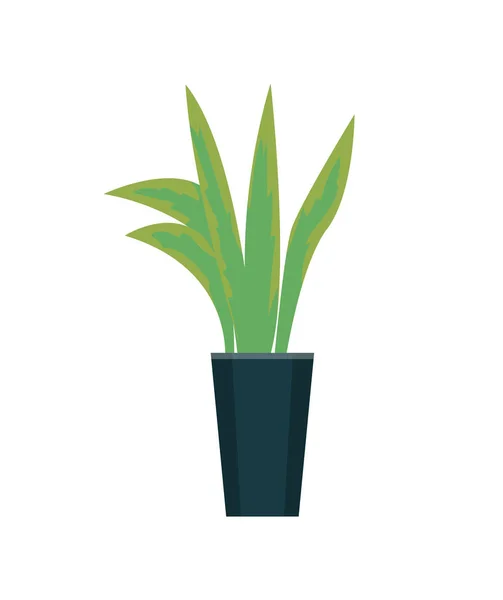 Grüne Pflanze wächst im Topf Vektor isoliert Symbol — Stockvektor