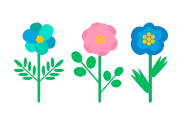 Tomurcukları mavi ve pembe yaprakları, yeşil sapları ve yaprakları