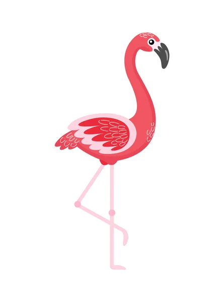 Flamingo em pé com pé levantado, vetor de pássaro —  Vetores de Stock