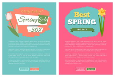 Bahar çiçek, Web teklif etmek vektör etiketle