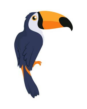 Toucan kuş çizgi film simgesi düz tasarım