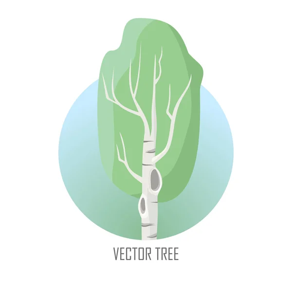 Vector Tree. Birch isolado em White. Vetor — Vetor de Stock