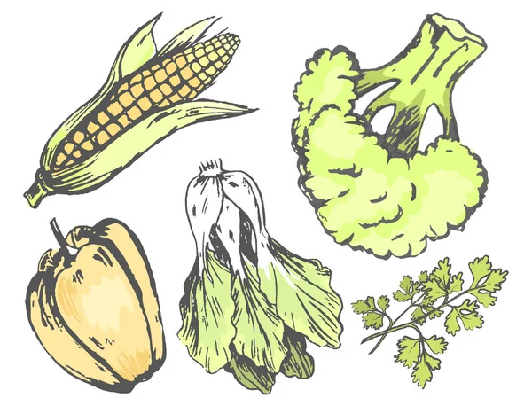 Φρέσκα γραφικά χαοτική λαχανικά απομονωθεί σε λευκό — Διανυσματικό Αρχείο