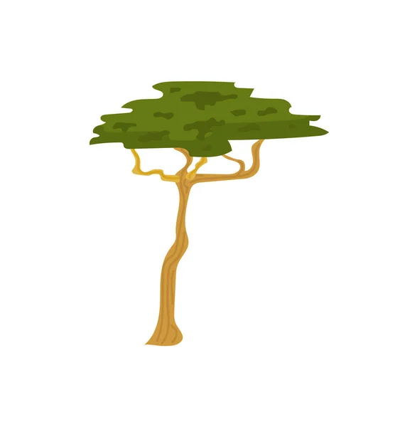 Planta de vida selvagem, Árvore de savana, Vetor de flora africana — Vetor de Stock