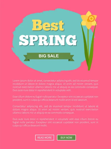 Mejor Cartel promocional de venta de primavera con flor de narciso — Vector de stock