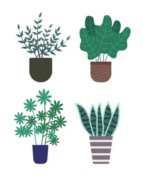Haworthia Pot with Soil, Foliage and Flora Set — Stock Vector